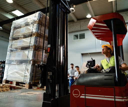 CARRELLI ELEVATORI SEMOVENTI AULA o FAD - EX NOVO